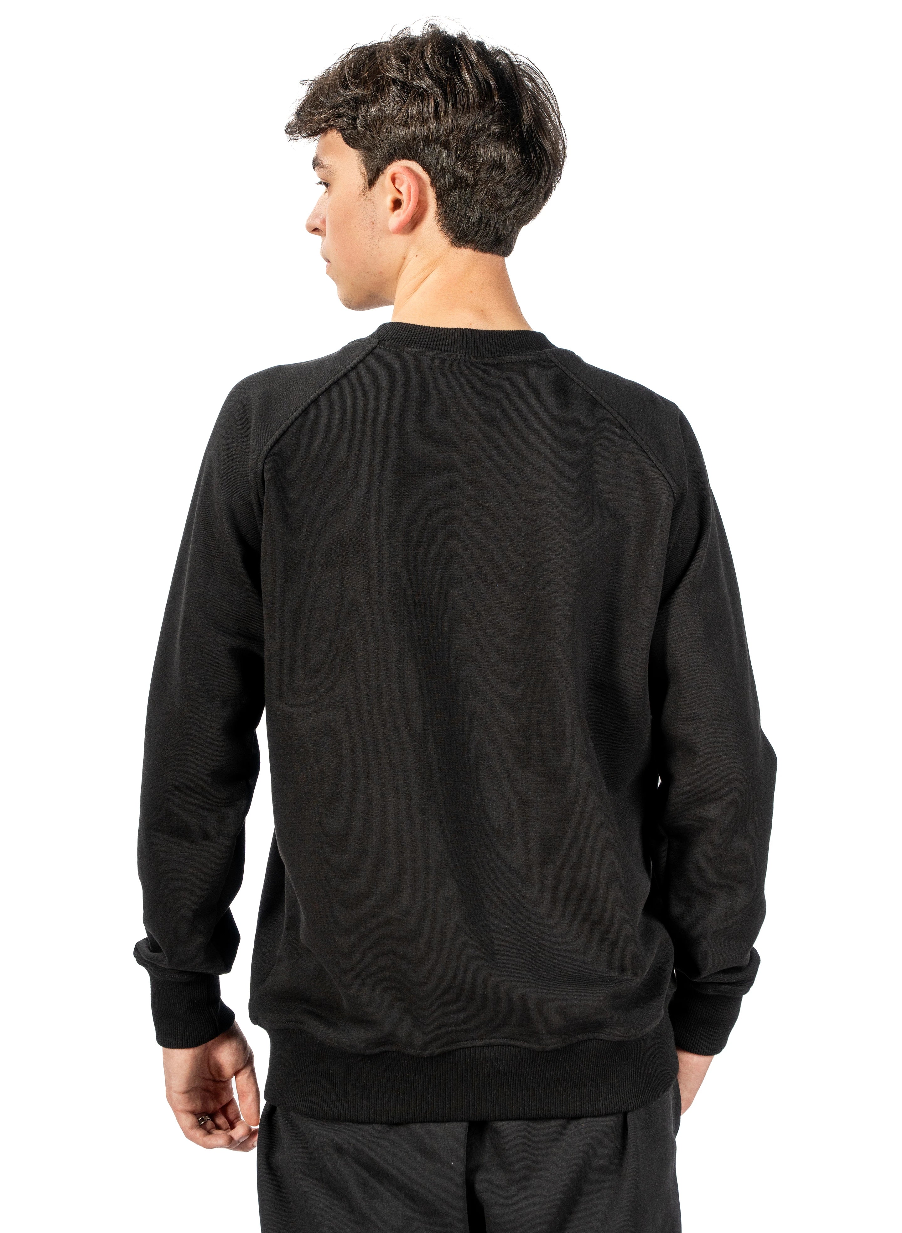 BLUZA BARBATI RAGLAN FLOWRAG BP00